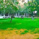 Bom Al